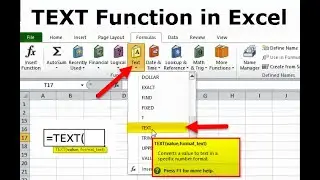 What is TEXT Function & Excel Formulas LEFT, RIGHT, CONCATINATE, MID, LEN & FIND in Hindi