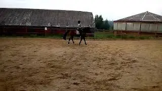 2018.07