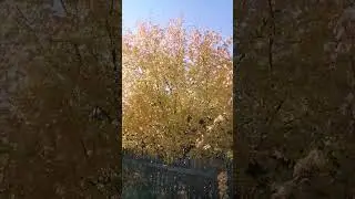 22 сентября 2023 г.