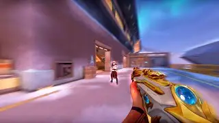 When Your Aim Is So Calm ...