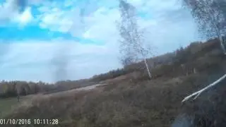 Тут бобёр есть