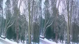 20100111 Wardown Park and House in Winter 3D