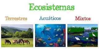 🌎 Los ECOSISTEMAS y sus TIPOS 🐝 [Fácil y Rápido] | BIOLOGÍA |