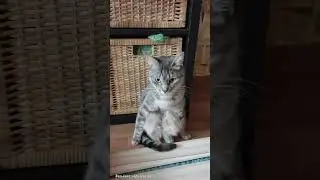 У нас на районе
