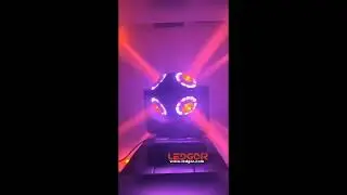 move head chic sport light