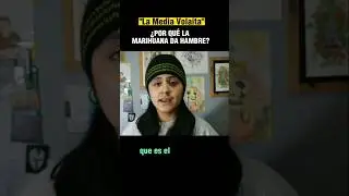 por que la marihuana da hambre 🥤🍟🍇