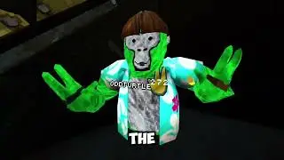 I Got Into The SECRET ELEVATOR In Gorilla Tag...
