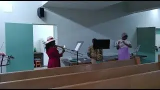 Bow Lake Music Edmonton - Student Training Session on Trumpets, Horns, Violin, Viola, Saxophone