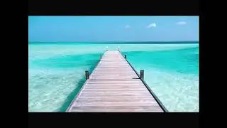 Semana 3 Misterios del Mar Curso de Verano 2017 12 a 17 años