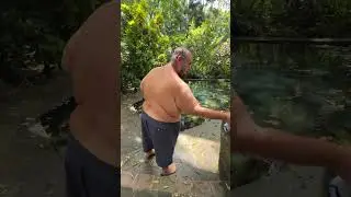 Agua CRISTALINA en SANTA ANA