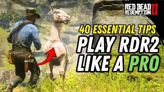 40 Essential RDR2 Tips for Beginners and Veterans