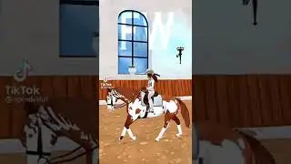 SSO Star Stable Online Tik Tok