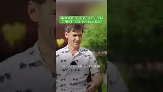 Почему начали выращивать экзотику в Казани? 