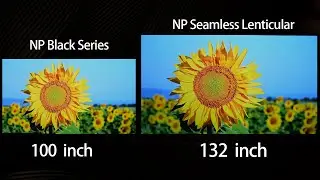 NothingProjector ALR Screen Comparison: 100