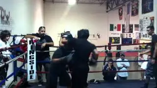 Bebe vs Danny 3 Rounds
