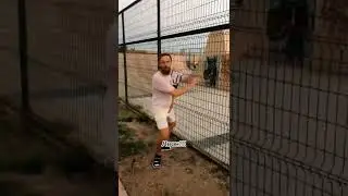 КОГДА ЖЕНА РЕШИЛА ПРИКОЛЬНУТЬСЯ 🤣