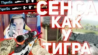 СЕНСА КАК У ТИГРА (Делайт, MrShaffy) // ЮТУБЕРЫ ИГРАЮТ С БОЛЬШОЙ СЕНСОЙ