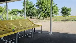 сладкая кукуруза в Новопавловске. 5 июля.