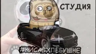 Drift Family “Мимимишки в добрые руки»