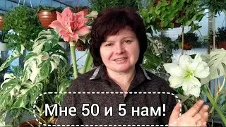С Юбилеем нас, Друзья! ПЯТЬ лет каналу!