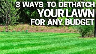 Improve your Lawn with Dethatching - 3 Ways How to do it for Any Budget
