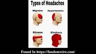 Marvel Memes