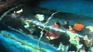 Preview Underwater World Langkawi