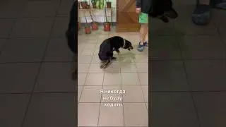 Я никогда не буду ходить💔Человек, помоги!