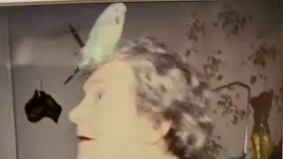 Sofia remembers a gin drinking budgie from the 1940s