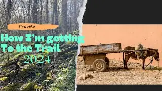 Traveling to Georgia ￼