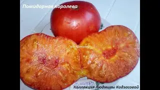 ЛЮБИМЦЫ В РАЗРЕЗЕ -  УГОЩАЙТЕСЬ (100 СОРТОВ В ОДНОМ ВИДЕО!!!)