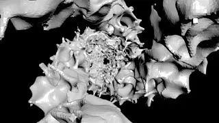 Houdini electrified data beam example