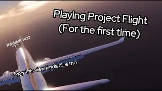 I Decided To Play Project Flight on Roblox