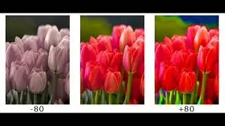 How to Adjust Color Copy Settings on Xerox Altalink