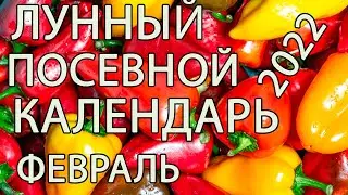 ЛУННЫЙ ПОСЕВНОЙ КАЛЕНДАРЬ!!! БЛАГОПРИЯТНЫЕ ДНИ!!!