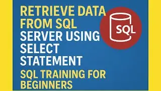 Retrieve Data from SQL Server Using SELECT Statement | SQL Training for Beginners