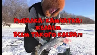 Рыбалка! Камчатка!  Желаем всем такого клева!!!