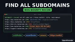 How to Find All Subdomains on Kali