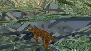 Shelter 2:Как забраться на камни в Горах.