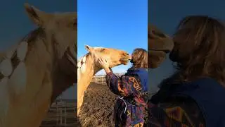 Какие они 😍 