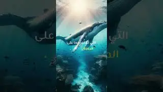من كوارث البشر