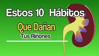 Deja Estos 10 Habitos Que Dañan Tus Riñones