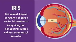 Materi IPAS Bagian-Bagian pada Mata || Fase C || Kelas V || MIN 1 Kolaka