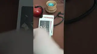 За кем выбор