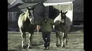 Dick Wallingford's Horse Pulling