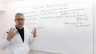 (AGT10E12) [Game Theory] Common Value Auctions and Winner's Curse
