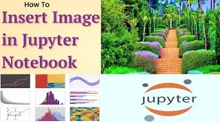 How to Upload Image in a Jupyter Notebook