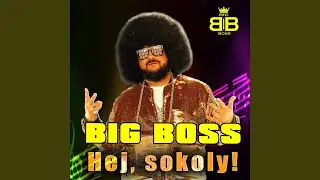 Hej, sokoly!