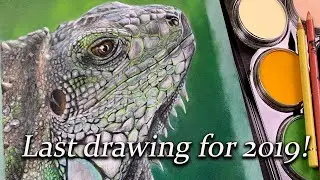 Reflecting on my art for 2019 ( while drawing an Iguana in colored pencil on pastelmat )