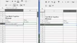Work together Synchronously in a spreadsheet
